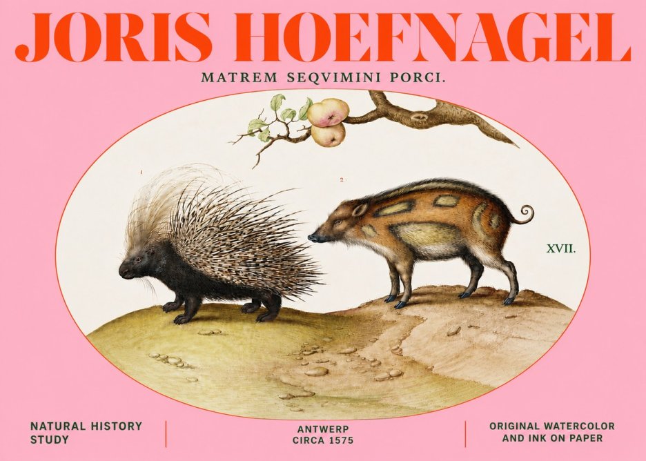 Joris Hoefnagel Matrem Seqvimini Porci. No4 - Affiche