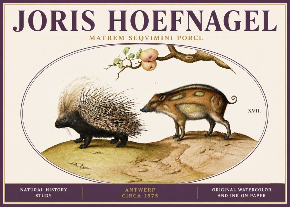 Joris Hoefnagel Matrem Seqvimini Porci. No6 - Affiche