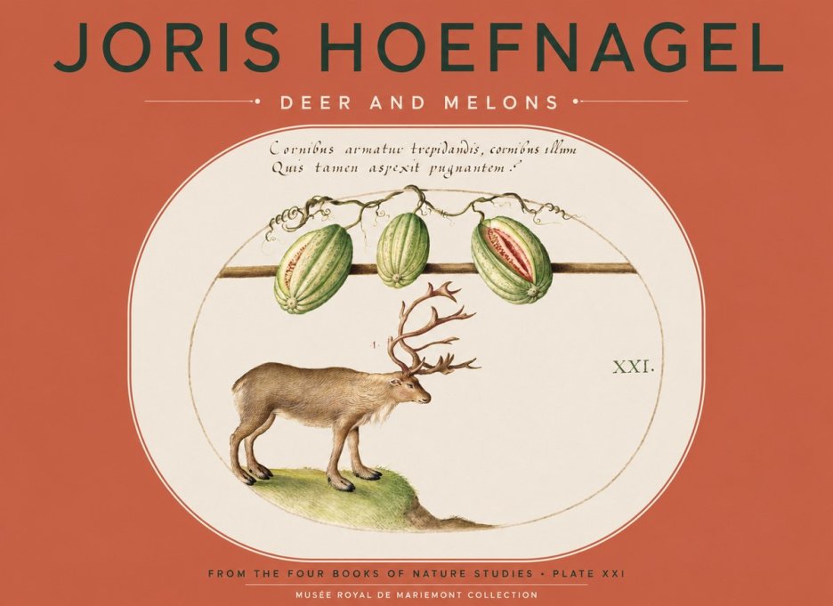 Joris Hoefnagel Arctic Nature Study No5 - Affiche