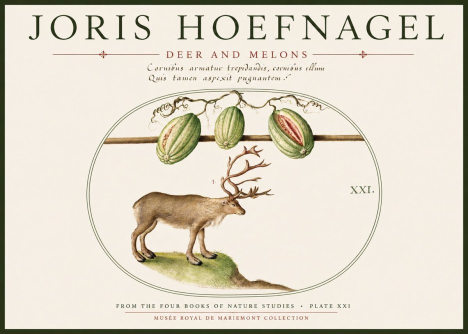 Joris Hoefnagel Arctic Nature Study No6 - Affiche
