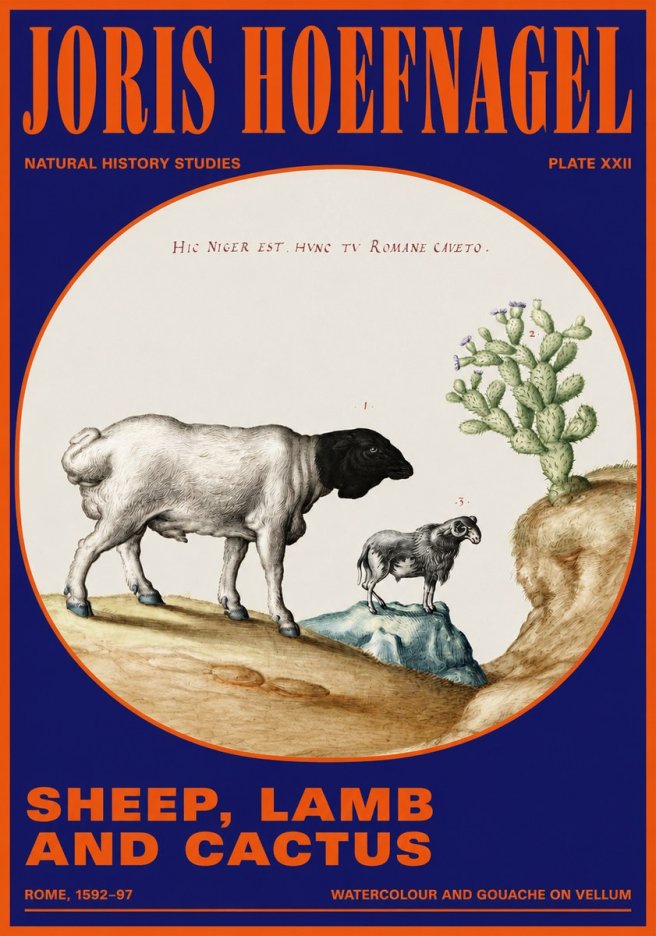 Joris Hoefnagel Sheep and Lamb with Flowering Cactus No5 - Affiche