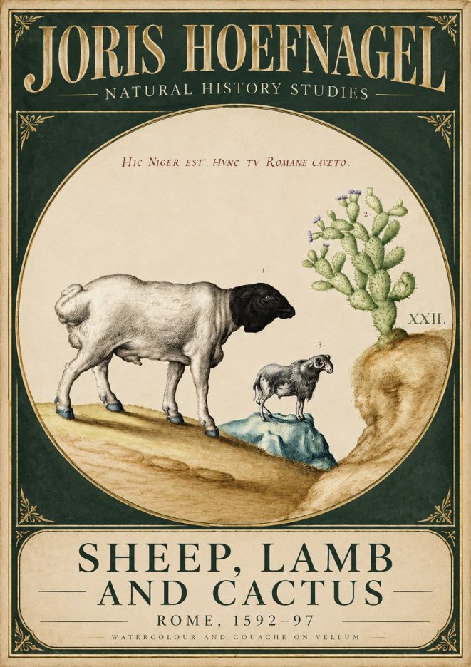 Joris Hoefnagel Sheep and Lamb with Flowering Cactus No6 - Affiche