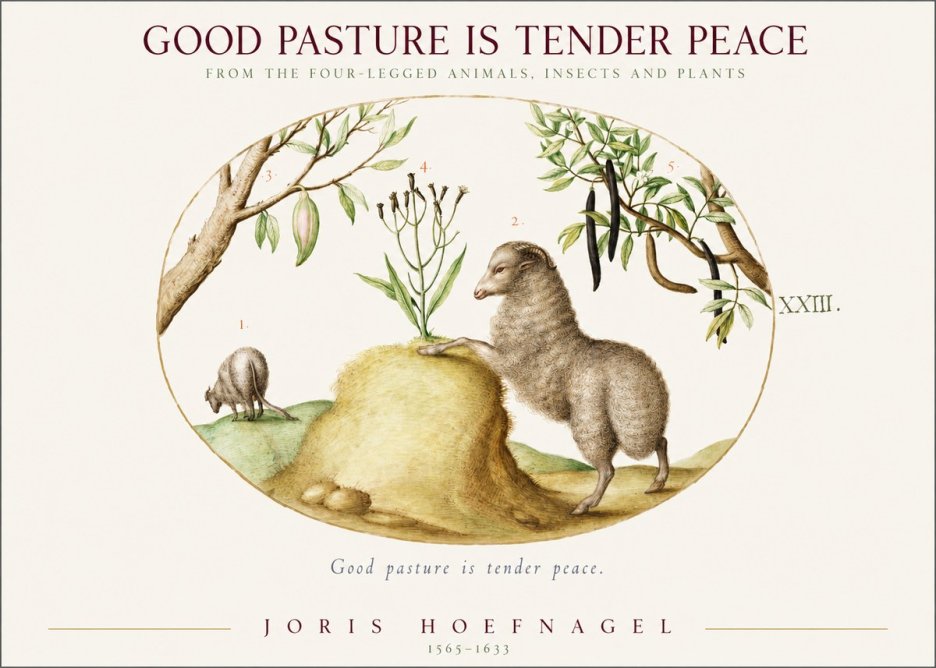 Joris Hoefnagel Good Pasture Is Tender Peace. No1 - Affiche