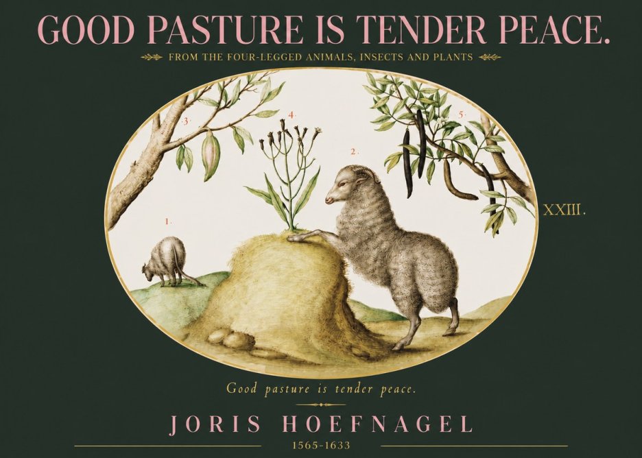 Joris Hoefnagel Good Pasture Is Tender Peace. No3 - Affiche