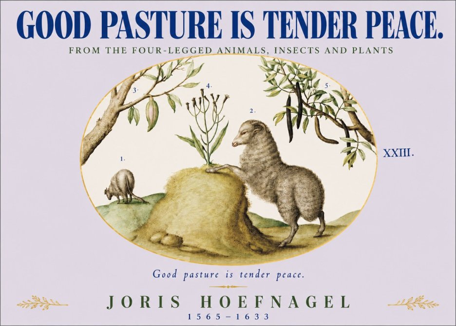 Joris Hoefnagel Good Pasture Is Tender Peace. No4 - Affiche