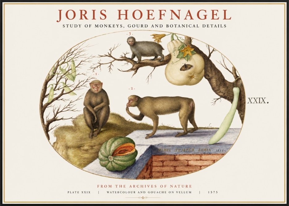 Joris Hoefnagel But Always a Monkey, Always a Monkey. Plate Xxix No2 - Affiche