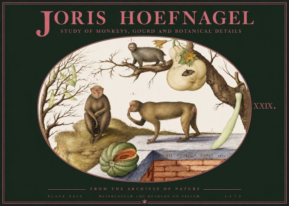 Joris Hoefnagel But Always a Monkey, Always a Monkey. Plate Xxix No3 - Affiche