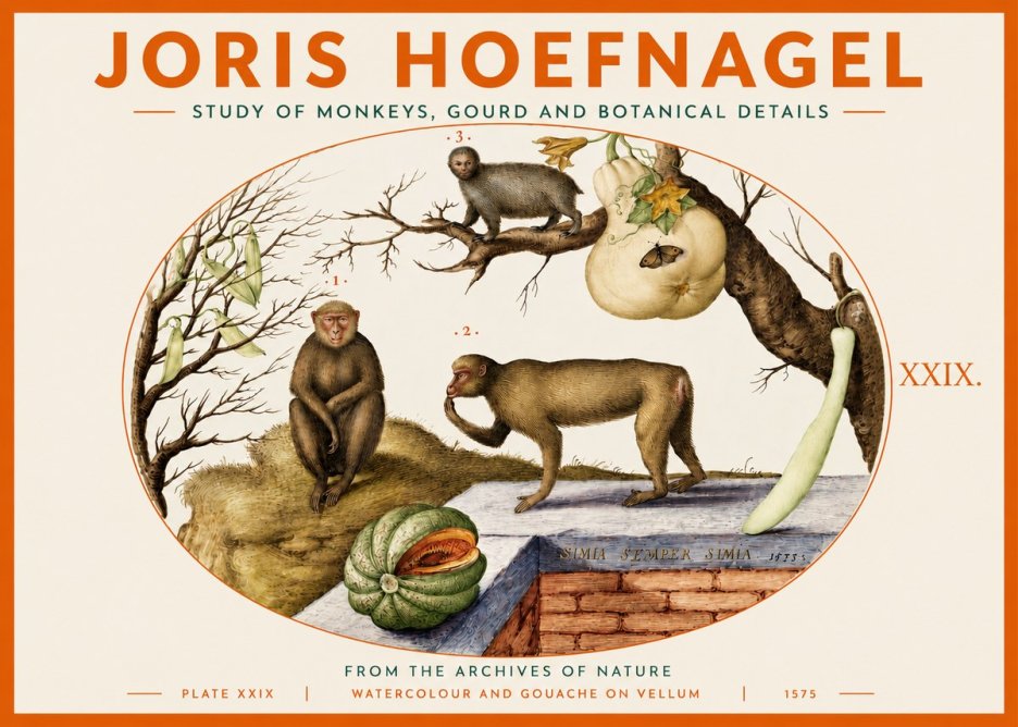 Joris Hoefnagel But Always a Monkey, Always a Monkey. Plate Xxix No4 - Affiche