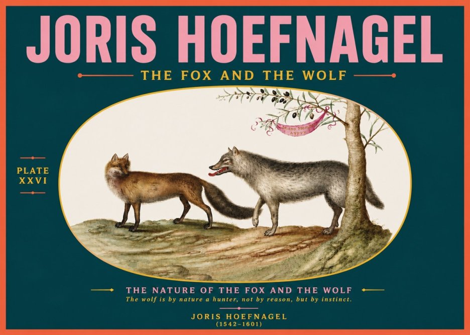 Joris Hoefnagel The Fox and the Wolf No5 - Affiche