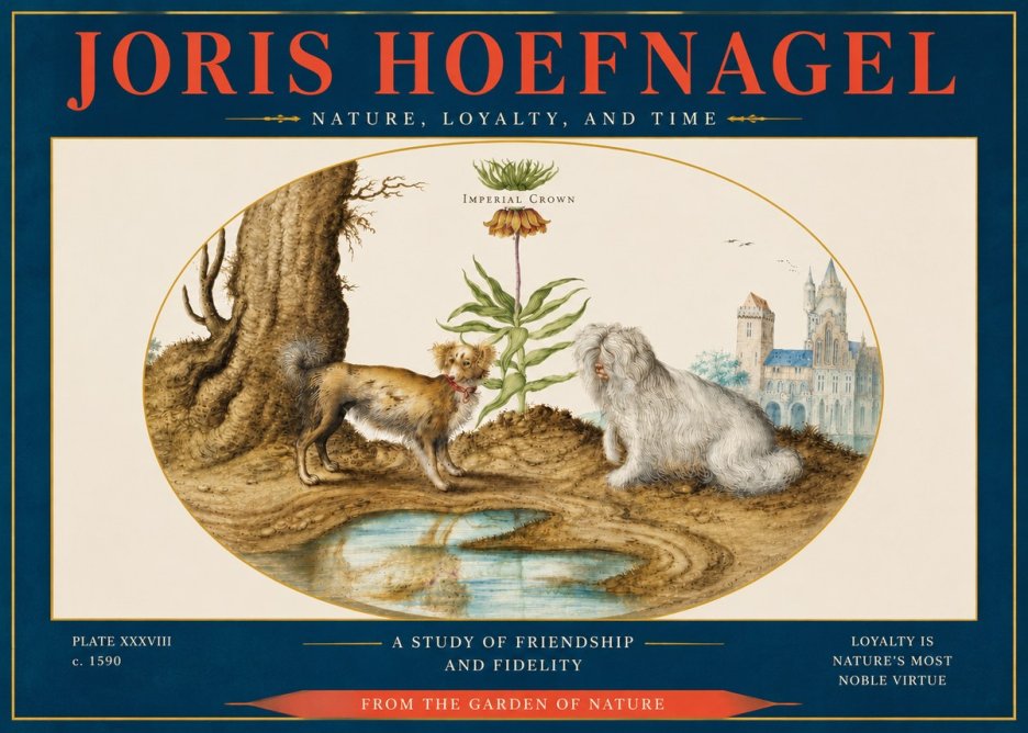 Joris Hoefnagel A Study of Friendship and Fidelity No4 - Affiche