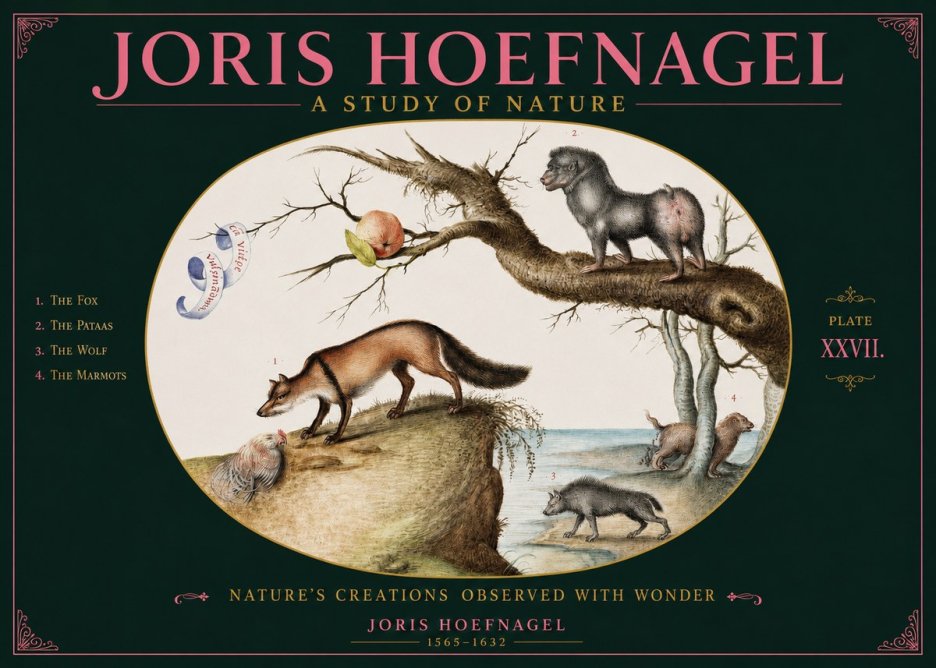 Joris Hoefnagel A Study of Nature - Plate Xxvii No2 - Affiche