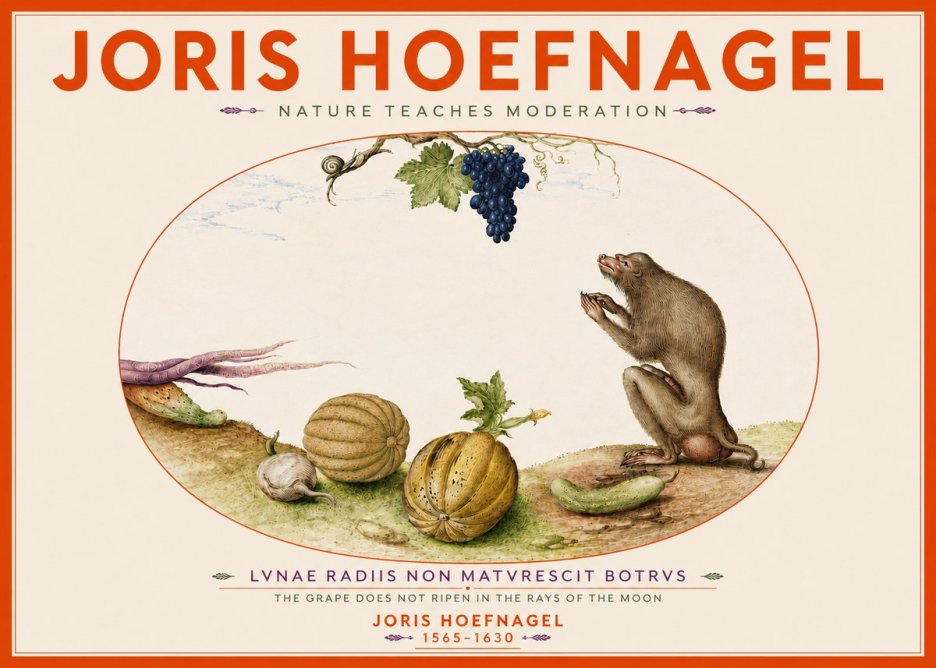 Joris Hoefnagel Nature Teaches Moderation No4 - Affiche