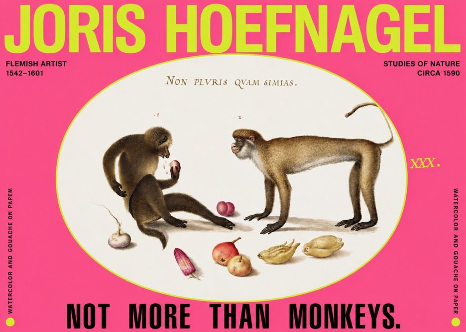 Joris Hoefnagel Not More Than Monkeys No2 - Affiche
