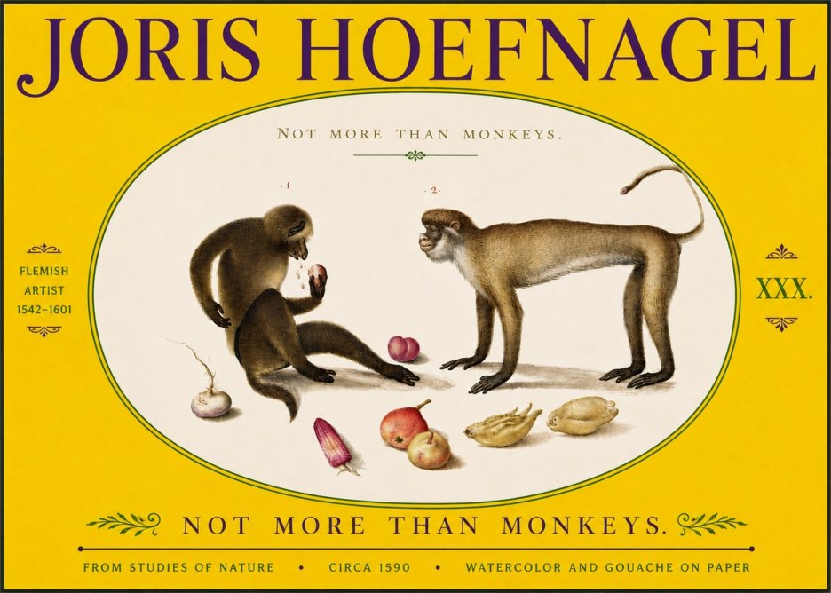 Joris Hoefnagel Not More Than Monkeys No5 - Affiche