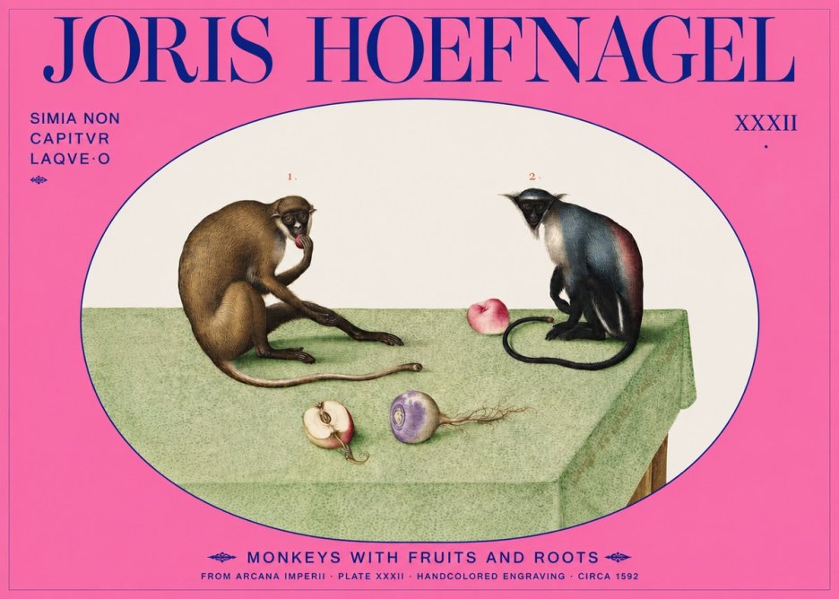 Joris Hoefnagel Monkeys with Fruits and Roots No2 - Affiche