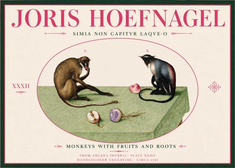 Joris Hoefnagel Monkeys with Fruits and Roots No6 - Affiche