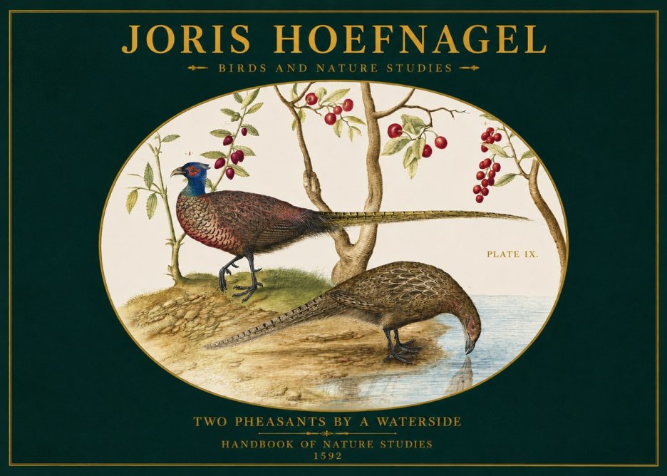 Joris Hoefnagel Peacocks and Pheasants Among Fruiting Branches No3 - Affiche