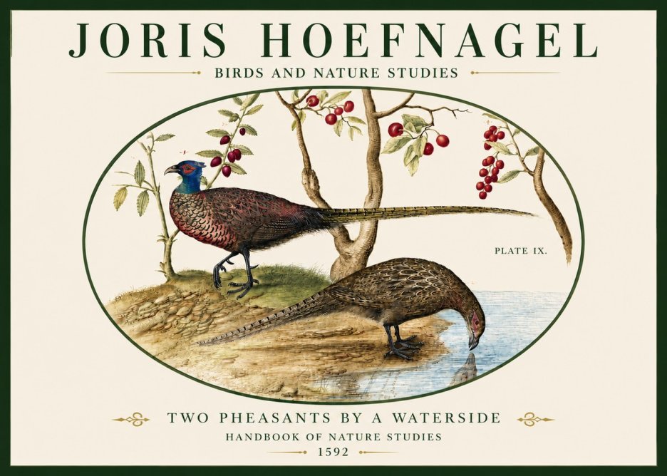 Joris Hoefnagel Peacocks and Pheasants Among Fruiting Branches No5 - Affiche