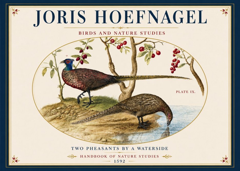 Joris Hoefnagel Peacocks and Pheasants Among Fruiting Branches No6 - Affiche