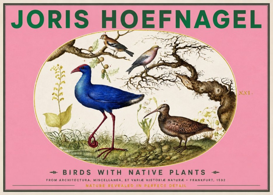 Joris Hoefnagel Birds with Native Plants No2 - Affiche