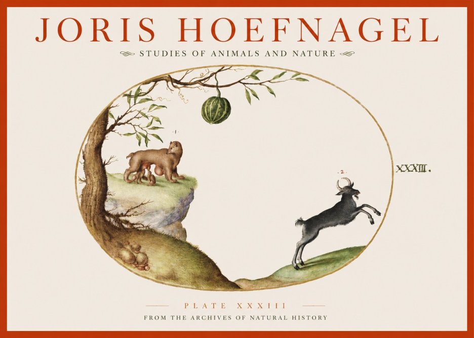 Joris Hoefnagel Plate Xxxiii No2 - Affiche