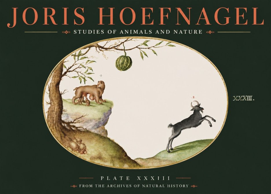 Joris Hoefnagel Plate Xxxiii No4 - Affiche