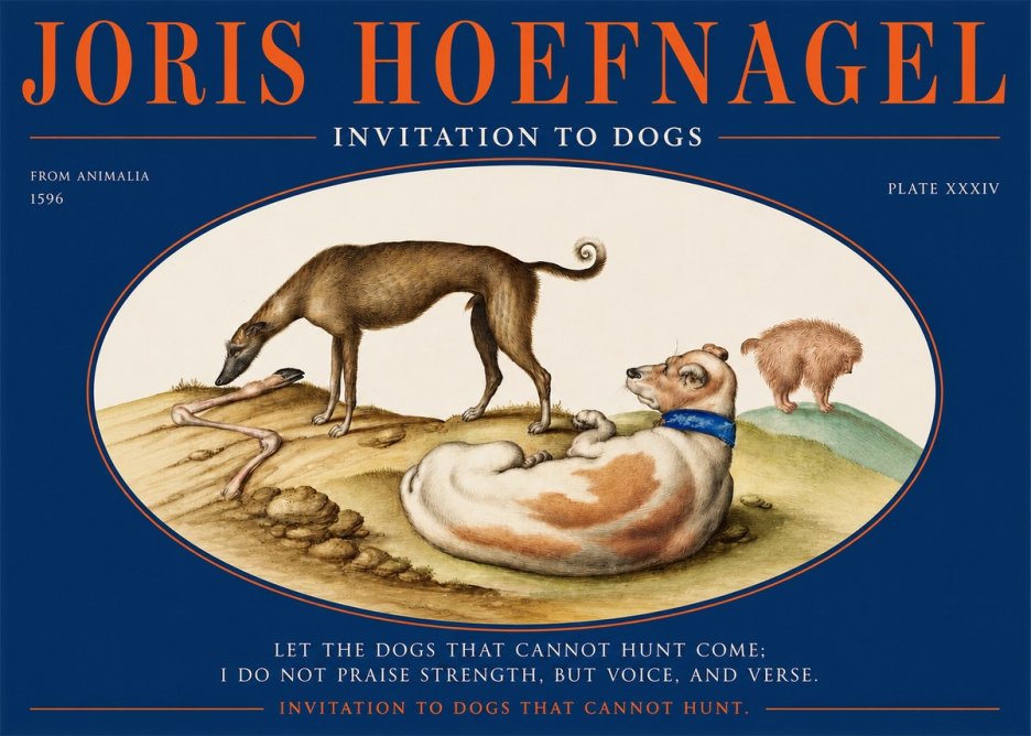 Joris Hoefnagel Invitation to Dogs No2 - Affiche