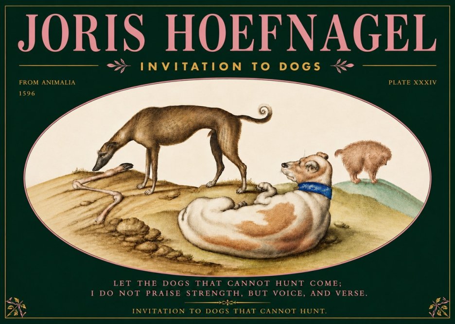 Joris Hoefnagel Invitation to Dogs No5 - Affiche