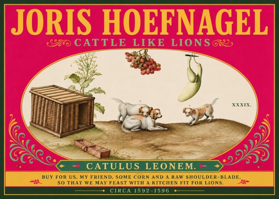 Joris Hoefnagel Cattle Like Lions No6 - Affiche
