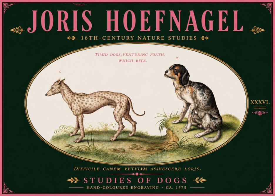 Joris Hoefnagel Studies of Dogs No6 - Affiche