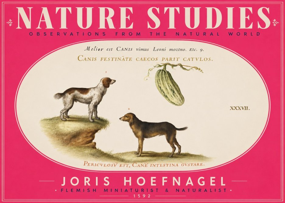 Joris Hoefnagel Canis Festinas Caecos Parit Catulos No5 - Affiche