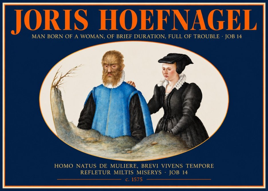 Joris Hoefnagel Homo Natus De Muliere, Brevi Vivens Tempore Refletur Miltis Miserys · Job 14 No2 - Affiche