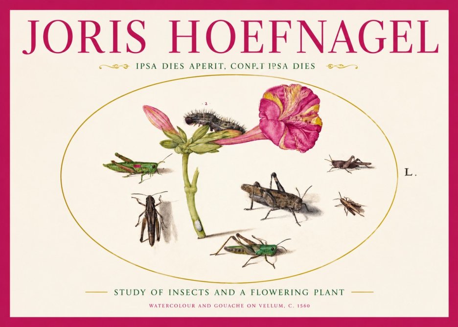 Joris Hoefnagel Study of Insects and a Flowering Plant No2 - Affiche