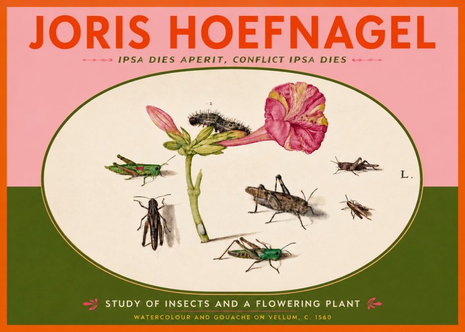 Joris Hoefnagel Study of Insects and a Flowering Plant No4 - Affiche