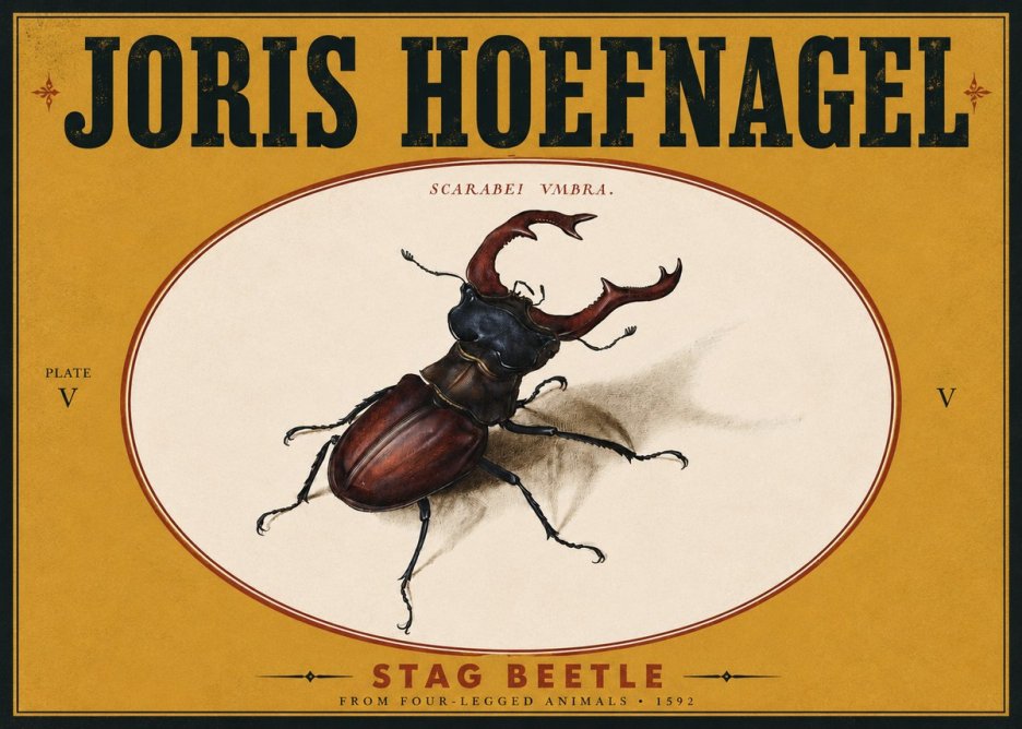 Joris Hoefnagel Stag Beetle No5 - Affiche