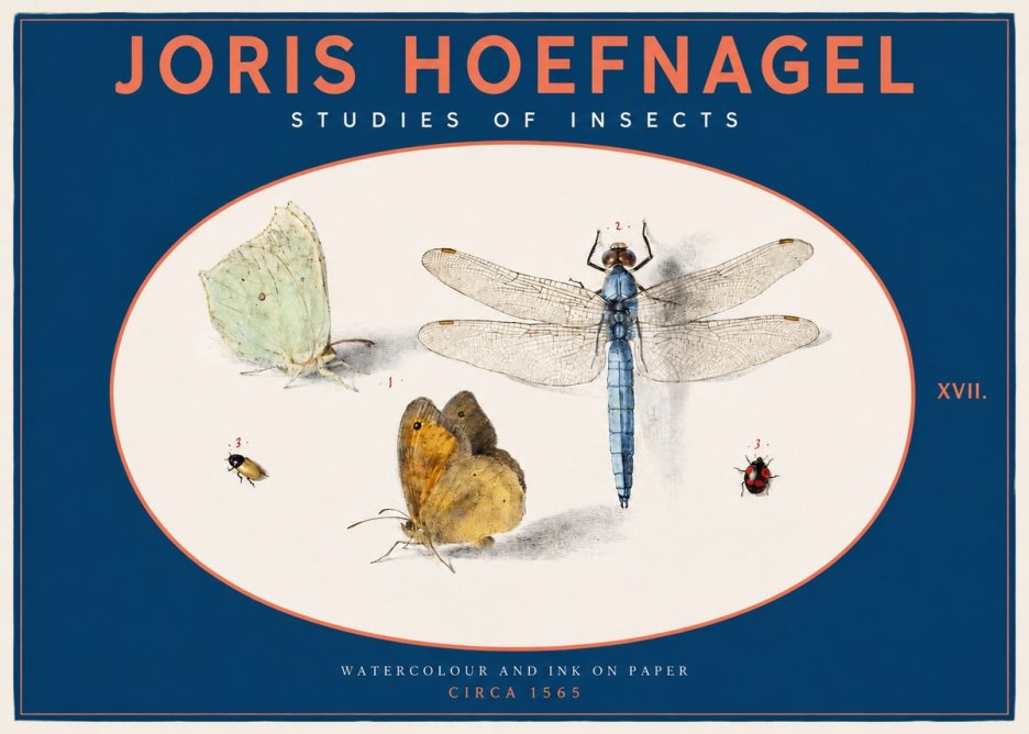 Joris Hoefnagel A Study of Butterflies, Dragonflies and Beetles No3 - Affiche