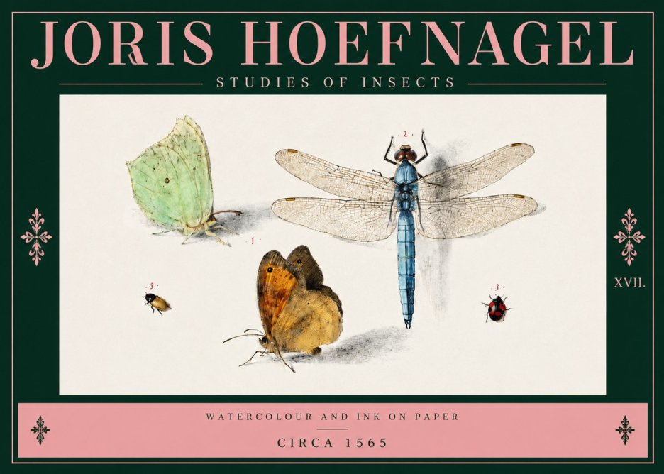 Joris Hoefnagel A Study of Butterflies, Dragonflies and Beetles No4 - Affiche
