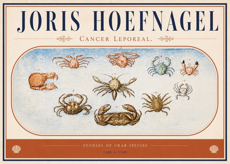 Joris Hoefnagel Cancer Leporeal. No4 - Affiche