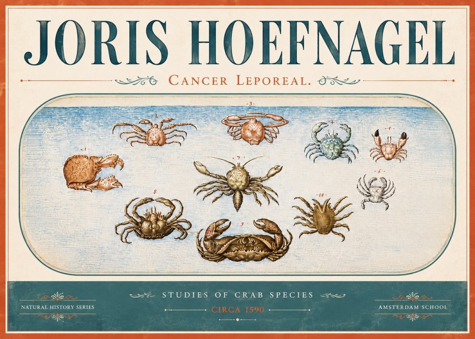 Joris Hoefnagel Cancer Leporeal. No6 - Affiche