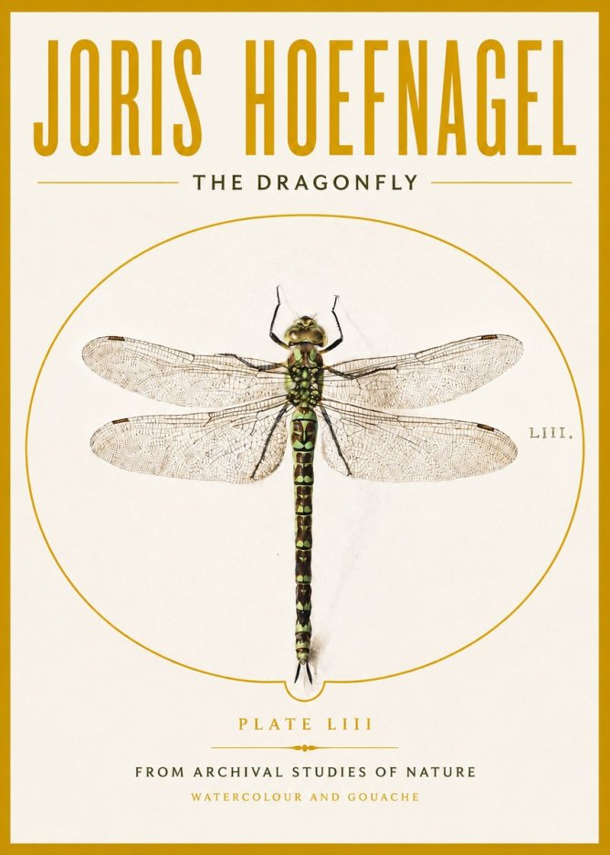 Joris Hoefnagel The Dragonfly No4 - Affiche