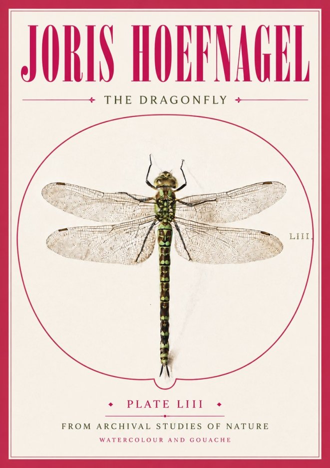 Joris Hoefnagel The Dragonfly No5 - Affiche