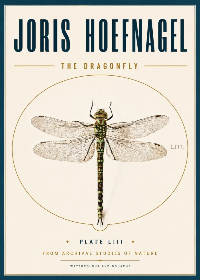 Joris Hoefnagel The Dragonfly No6 - Affiche