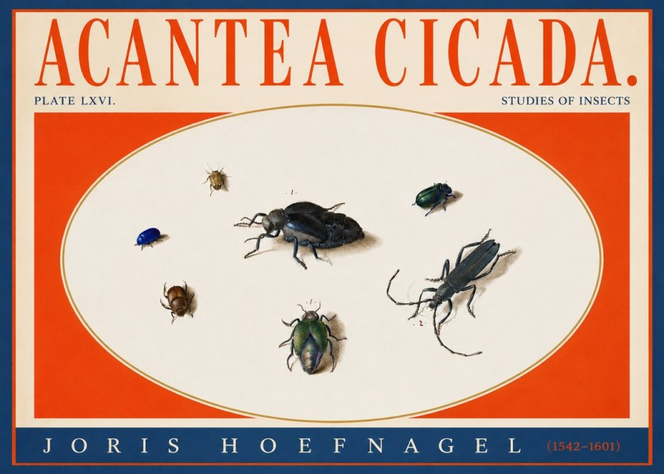Joris Hoefnagel Acanthia Cicada No4 - Affiche