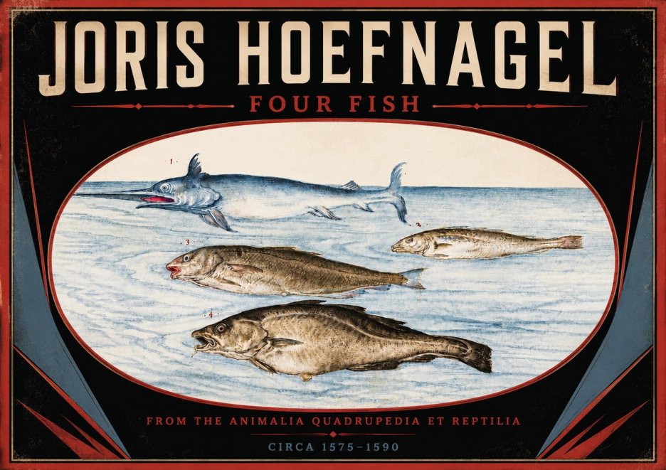 Joris Hoefnagel Four Fish No5 - Affiche
