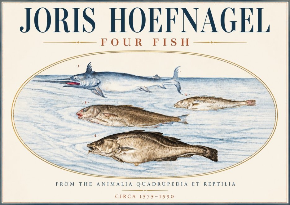 Joris Hoefnagel Four Fish No6 - Affiche