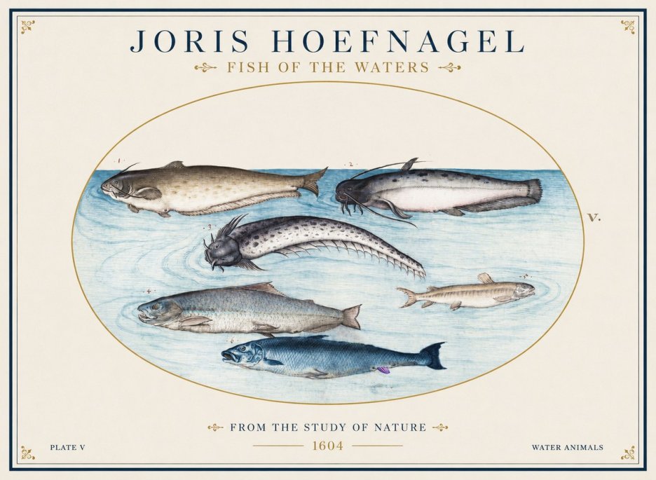 Joris Hoefnagel Fish of the Waters No1 - Affiche