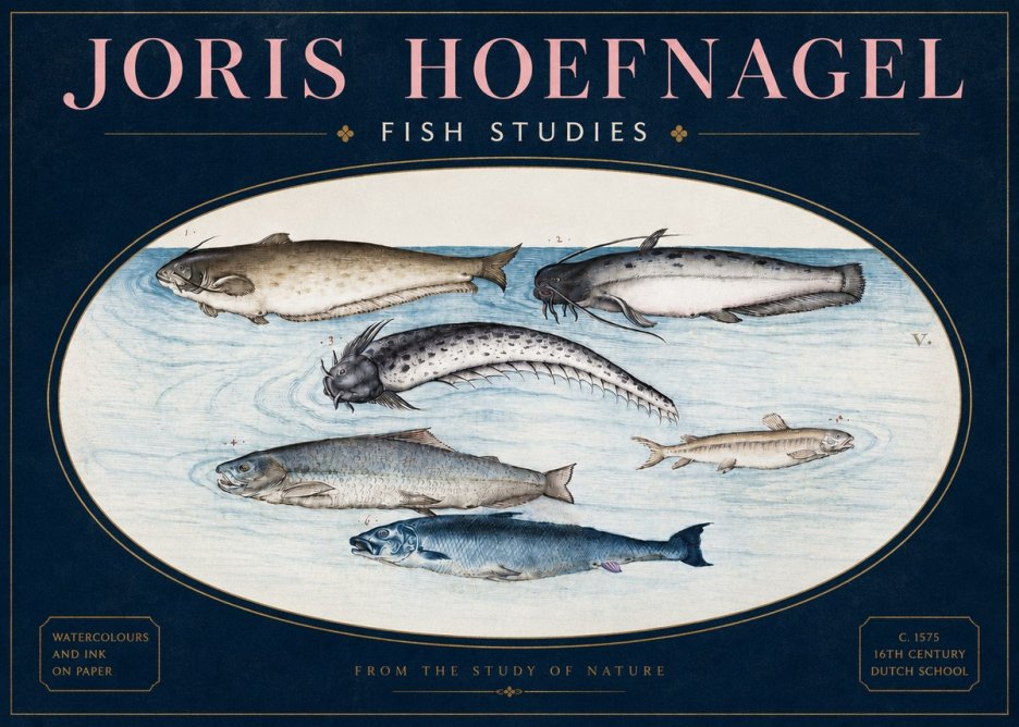 Joris Hoefnagel Fish of the Waters No4 - Affiche
