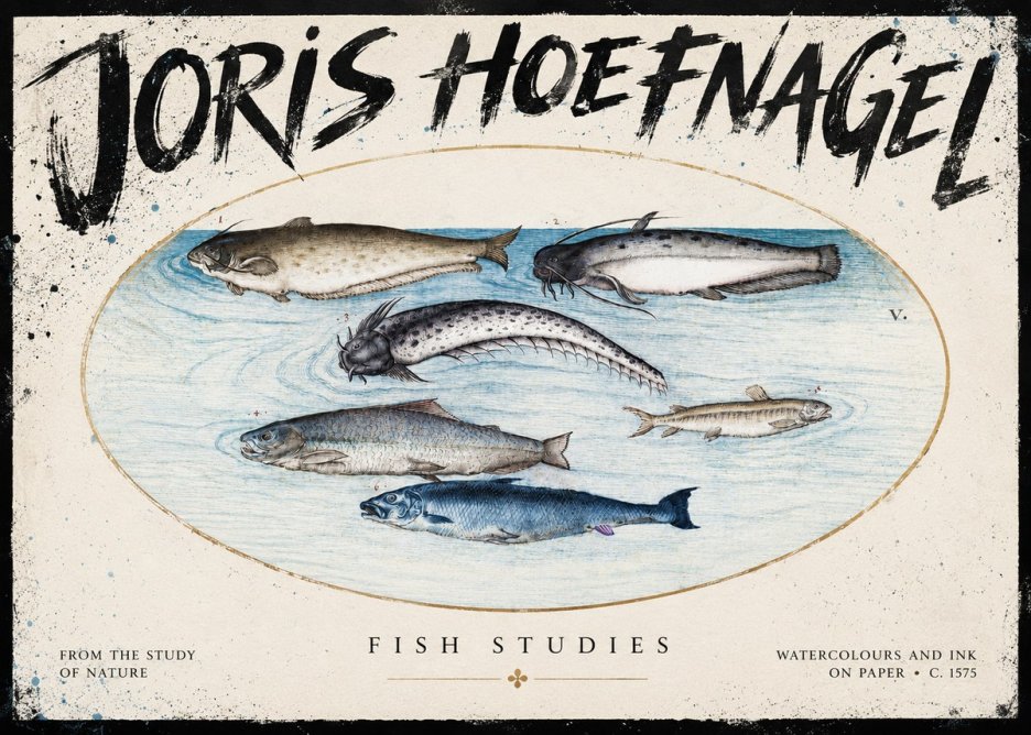 Joris Hoefnagel Fish of the Waters No5 - Affiche
