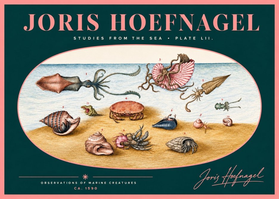Joris Hoefnagel Marine Creatures - Plate Lii No2 - Affiche