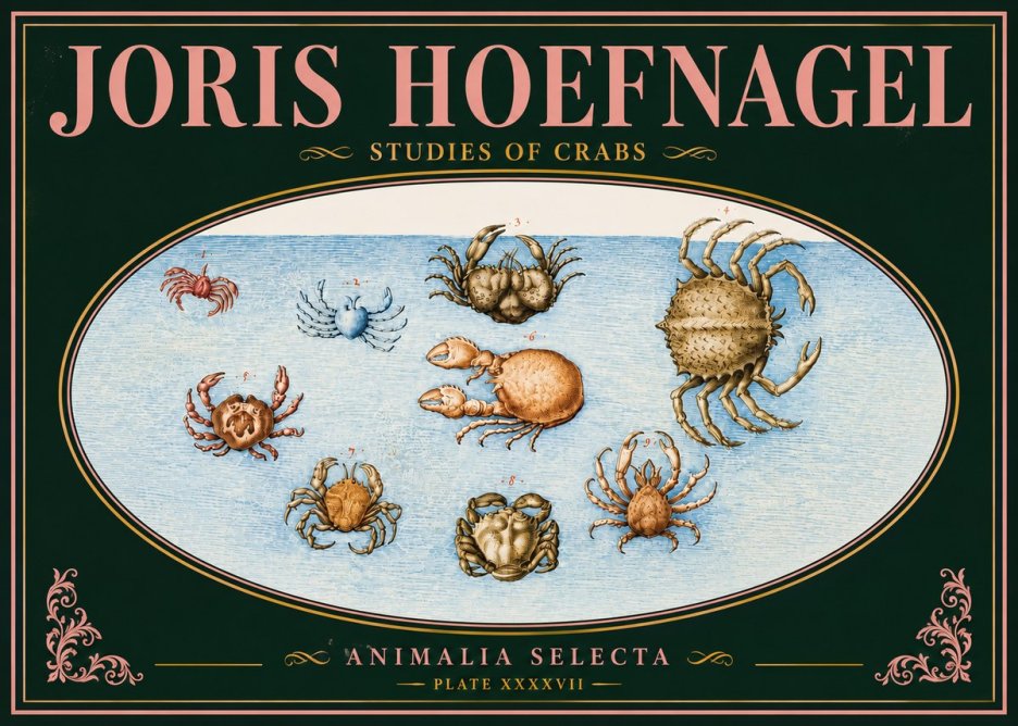 Joris Hoefnagel Studies of Crabs No5 - Affiche